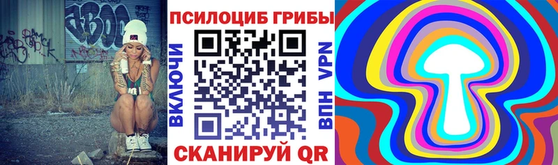 Псилоцибиновые грибы прущие грибы даркнет сайт блэк спрут онион Балахна