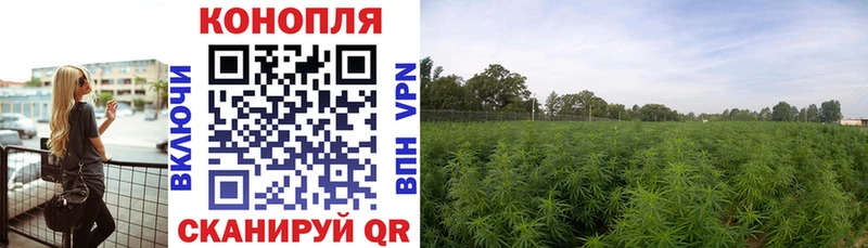 Каннабис OG Kush  купить  сайты  Балахна 